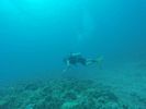 Hawaii Scuba divng 25