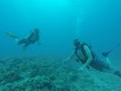 Hawaii Scuba divng 27