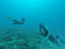 Hawaii Scuba divng 28