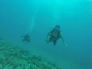 Hawaii Scuba divng 33