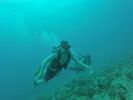 Hawaii Scuba divng 34