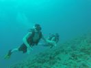 Hawaii Scuba divng 35