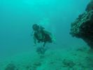 Hawaii Scuba divng 66