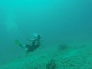 Hawaii Scuba divng 73