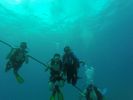 Hawaii Scuba divng 78