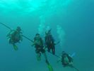 Hawaii Scuba divng 79