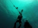 Hawaii Scuba divng 81