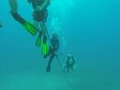 Hawaii Scuba divng 82