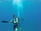 Hawaii Scuba divng 83