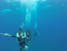 Hawaii Scuba divng 84