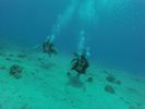 Hawaii Scuba divng 15