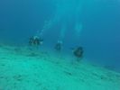 Hawaii Scuba divng 16