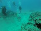 Hawaii Scuba divng 25