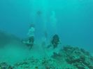 Hawaii Scuba divng 26