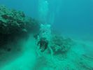 Hawaii Scuba divng 29