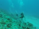 Hawaii Scuba divng 31