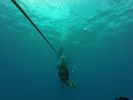 Hawaii Scuba divng 37