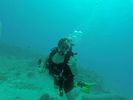 Hawaii Scuba divng 41