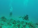 Hawaii Scuba divng 56