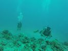 Hawaii Scuba divng 56