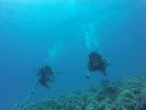 Hawaii Scuba divng 57