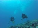 Hawaii Scuba divng 58