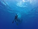 Hawaii Scuba divng 05