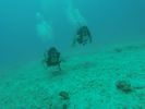 Hawaii Scuba divng 72