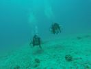 Hawaii Scuba divng 73