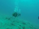 Hawaii Scuba divng 74