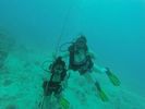 Hawaii Scuba divng 77