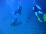 Hawaii Scuba divng 15