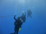 Hawaii Scuba divng 23