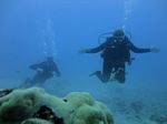 Hawaii Scuba divng 25