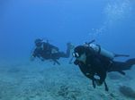 Hawaii Scuba divng 26