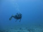 Hawaii Scuba divng 27