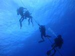 Hawaii Scuba divng 02