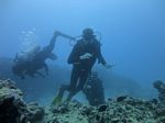 Hawaii Scuba divng 34