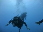 Hawaii Scuba divng 35