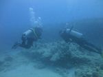 Hawaii Scuba divng 36