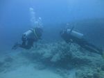 Hawaii Scuba divng 36