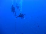 Hawaii Scuba divng 03