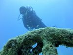 Hawaii Scuba divng 43