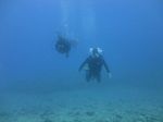 Hawaii Scuba divng 48