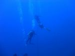 Hawaii Scuba divng 04