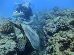 Hawaii Scuba divng 14