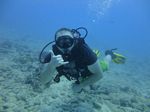 Hawaii Scuba divng 20