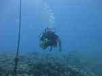 Hawaii Scuba divng 25