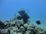 Hawaii Scuba divng 26