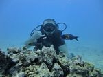 Hawaii Scuba divng 27